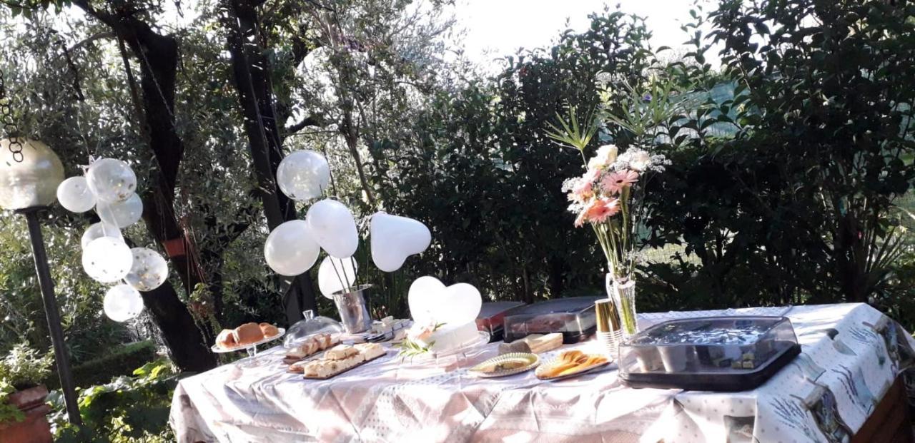 El Rincon Del Artista Bed & Breakfast Soiano Del Lago Eksteriør bilde